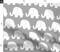 Elephant Grey Elephants Large White Pattern Gray Custom Printed Fabric by Spoonflower Various Fabrics by the Yard or Fat Quarter